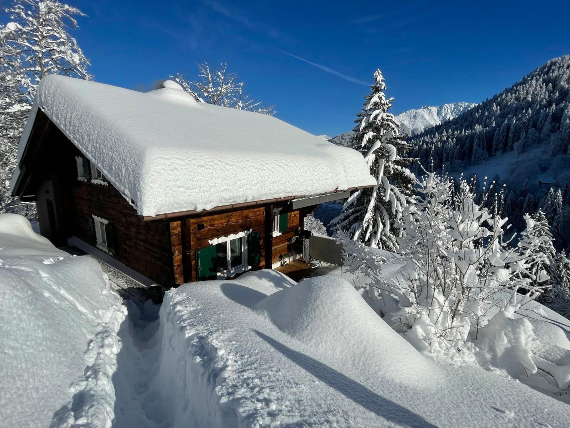 Alpenchalet Piz Huesli Чаггунс Экстерьер фото