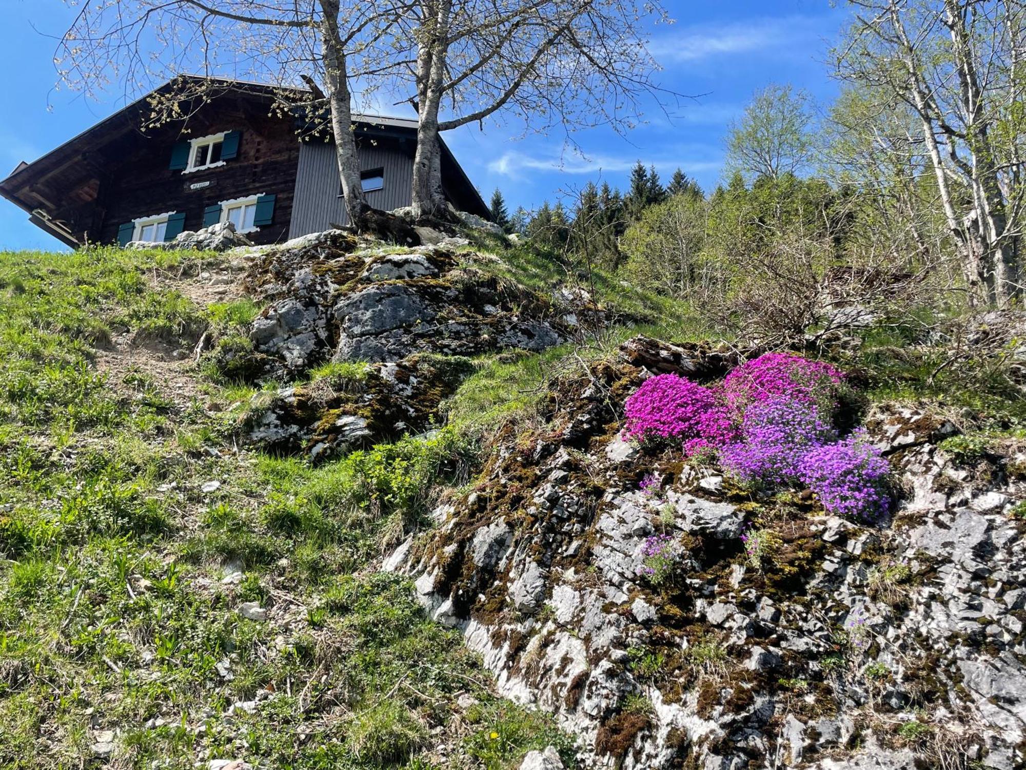 Alpenchalet Piz Huesli Чаггунс Экстерьер фото